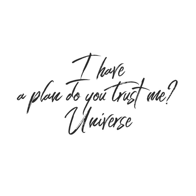 I Have A Plan Do You Trust Me? - Universe